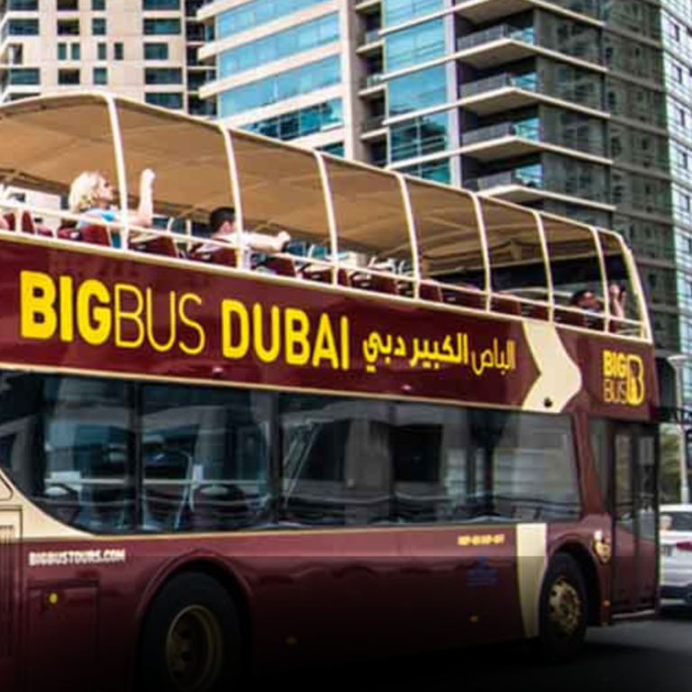Big Bus Sightseeing Tour