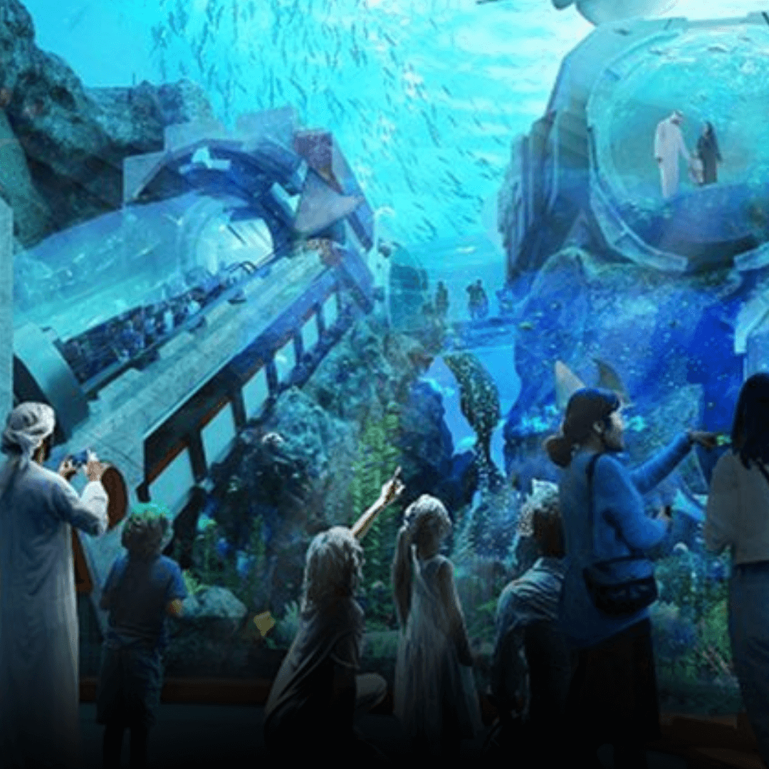 SeaWorld Abu Dhabi Exploremyworld