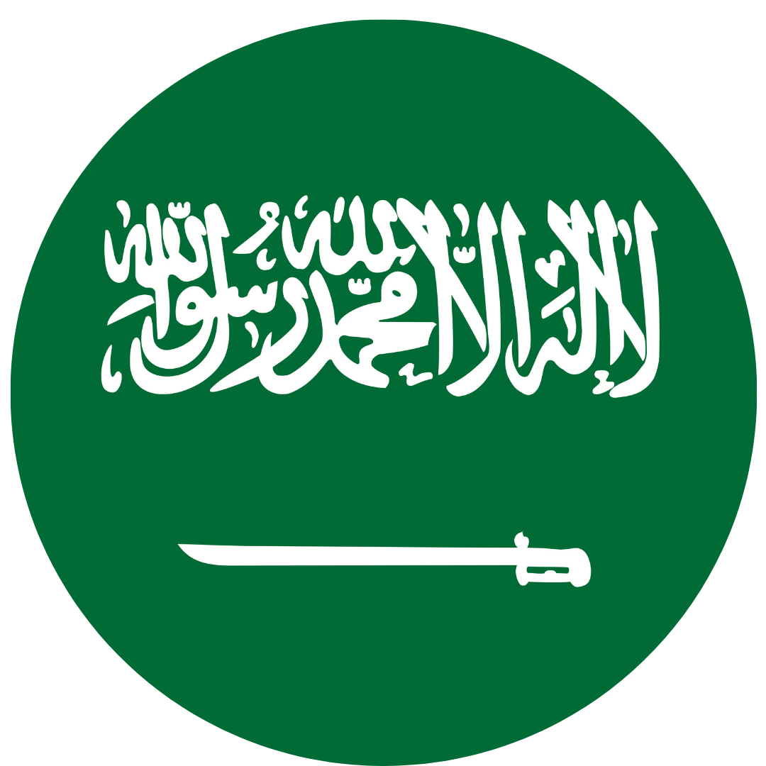 Saudi Arabia eVisa